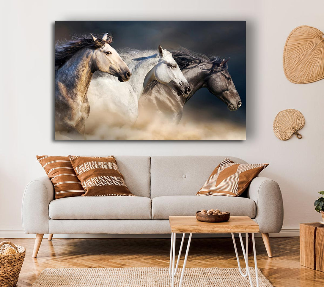 Picture of Wild Horse Trio Canvas Print Wall Art