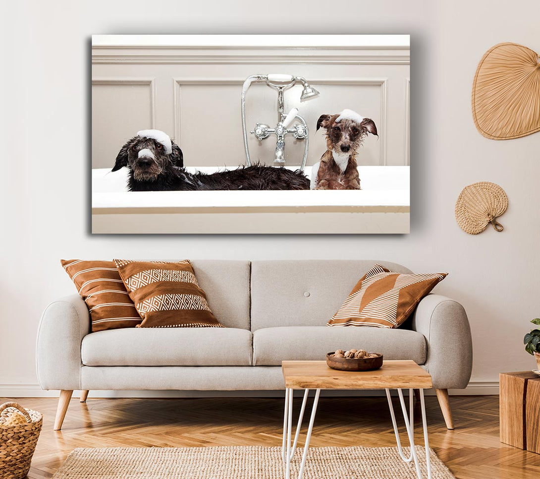  A Canvas Print of Bath Time Dogs Canvas Art