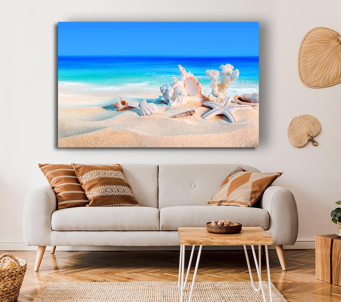 A Canvas Print of Perfect Ocean Shells Canvas Print