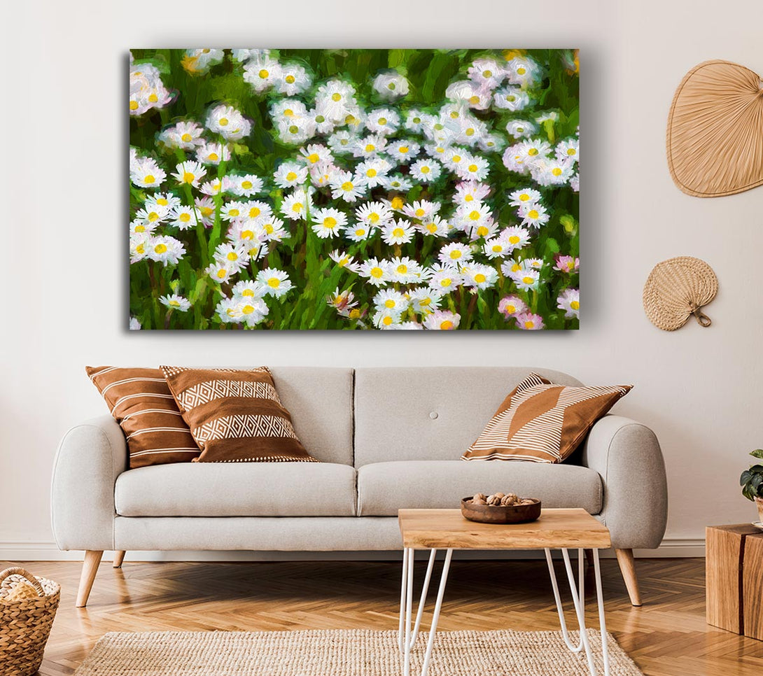 Picture of White Daisy Heaven Canvas Print Wall Art