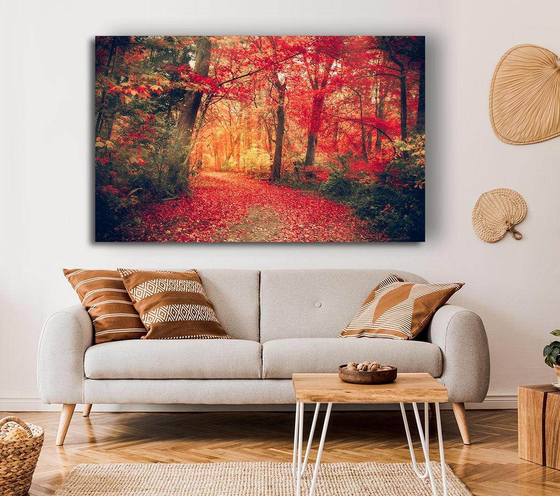 Picture of Red Tree Walk Canvas Print Wall Art