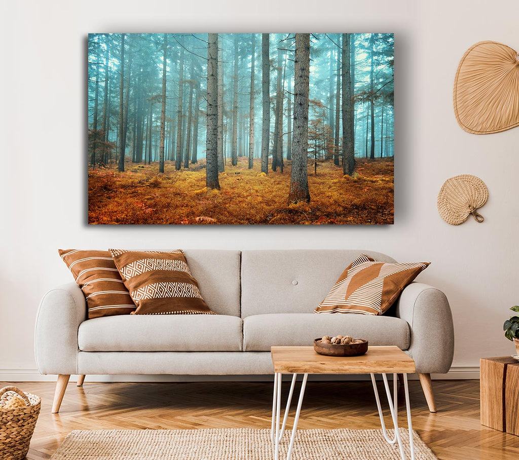 Picture of Misty Forest Glow Canvas Print Wall Art