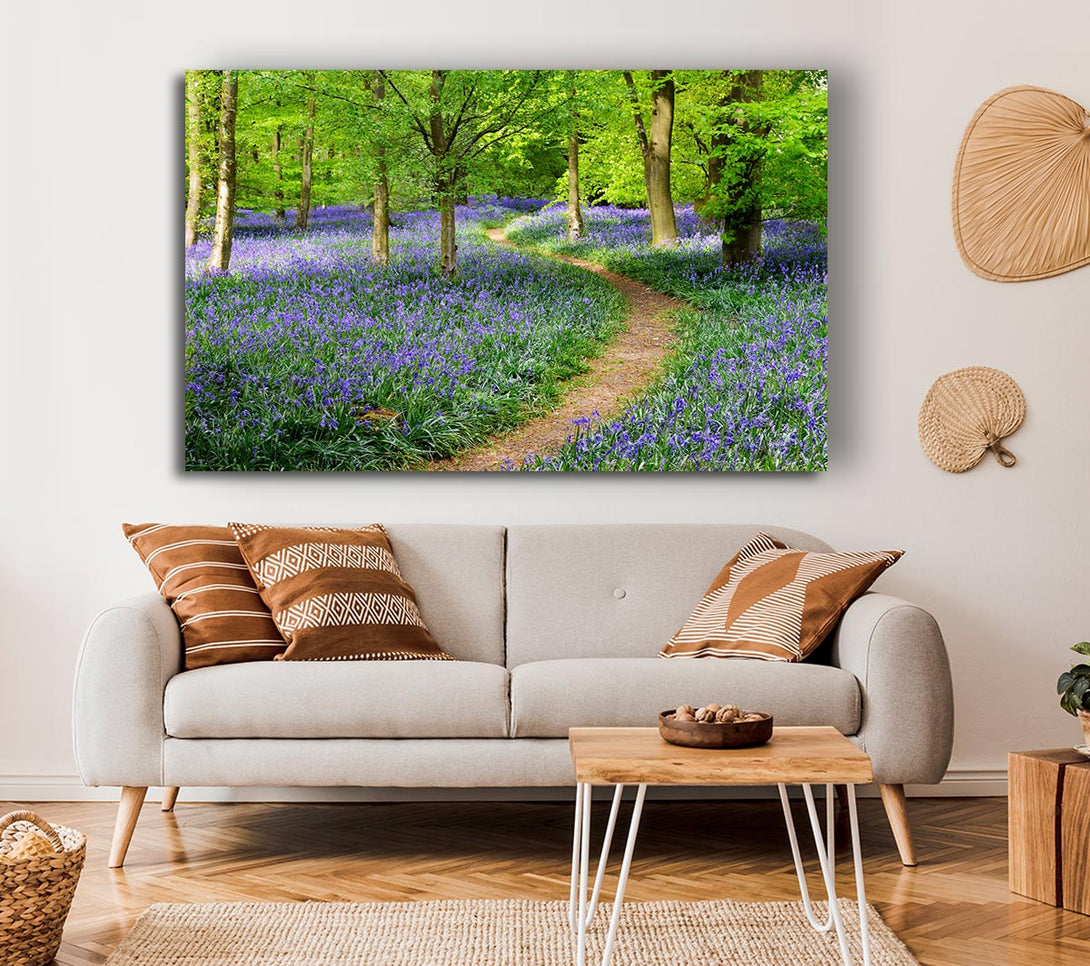  A Canvas Print of Walk Through The Bluebell Path Canvas Print
