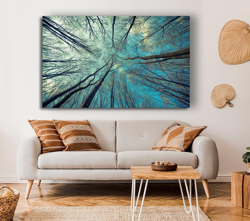 Picture of Sky Of Trees Canvas Print Wall Art