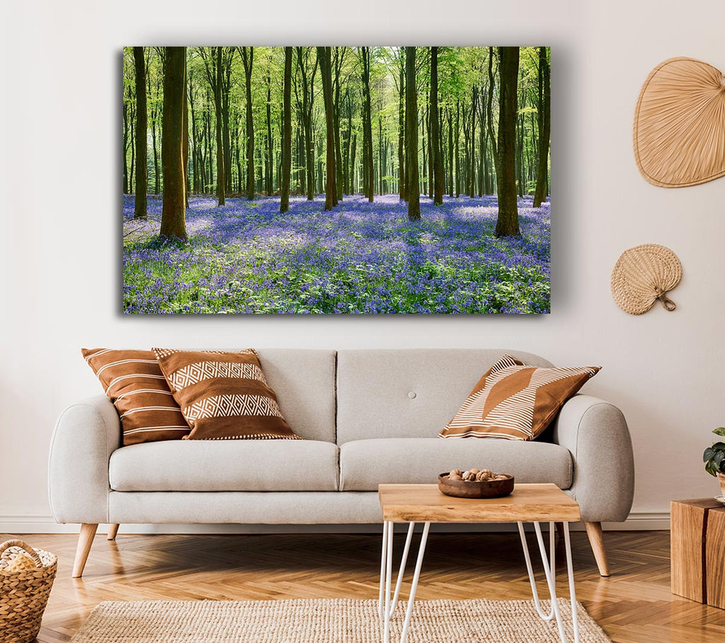 Picture of Mystical Bluebell Woodland Canvas Print Wall Art