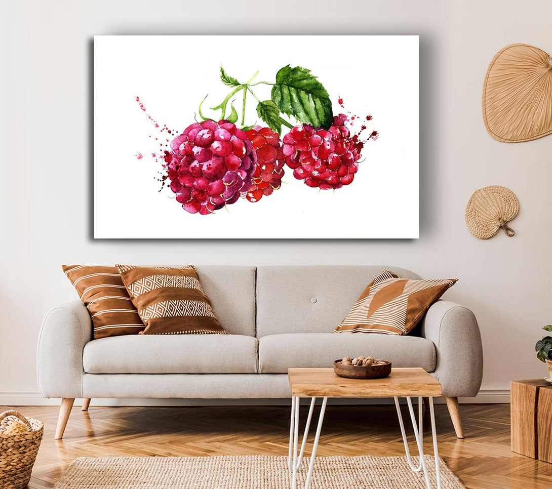 Picture of Raspberry Trio Canvas Print Wall Art