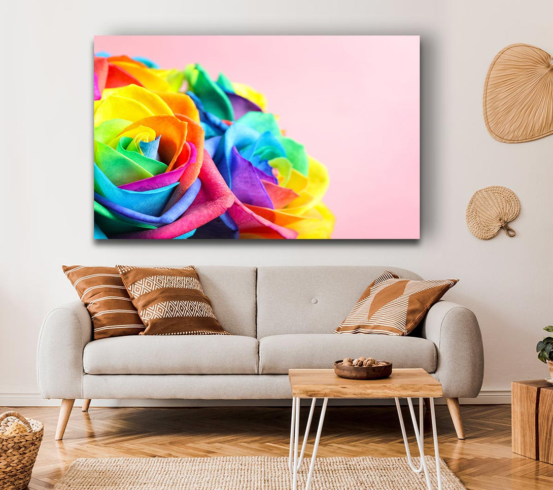  A Canvas Print of Rainbow closeup rose Canvas Wall Art