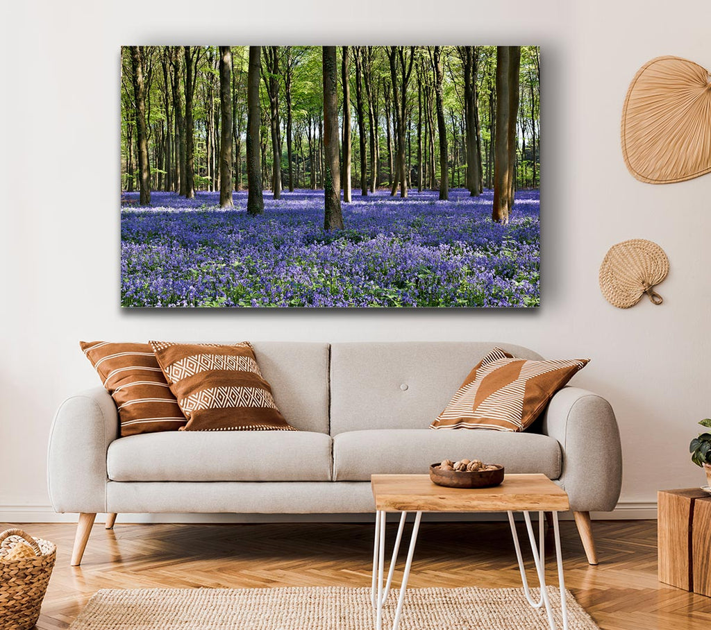 Picture of Beautiful purple flowers in the woods Canvas Print Wall Art