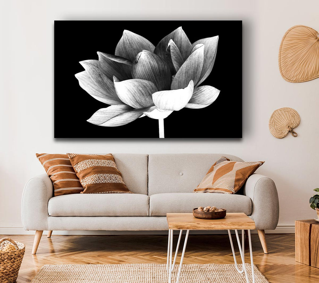 Picture of Black and white flower beauty Canvas Print Wall Art