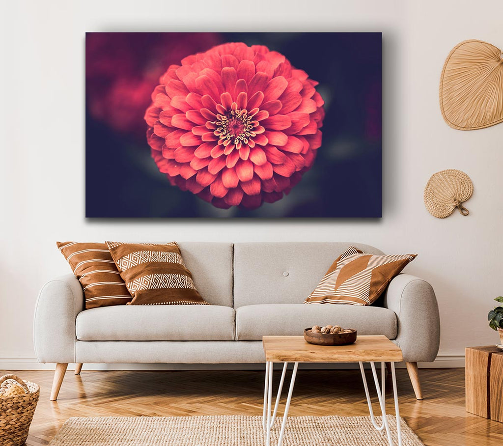 Picture of Circular flower perfectly balanced Canvas Print Wall Art