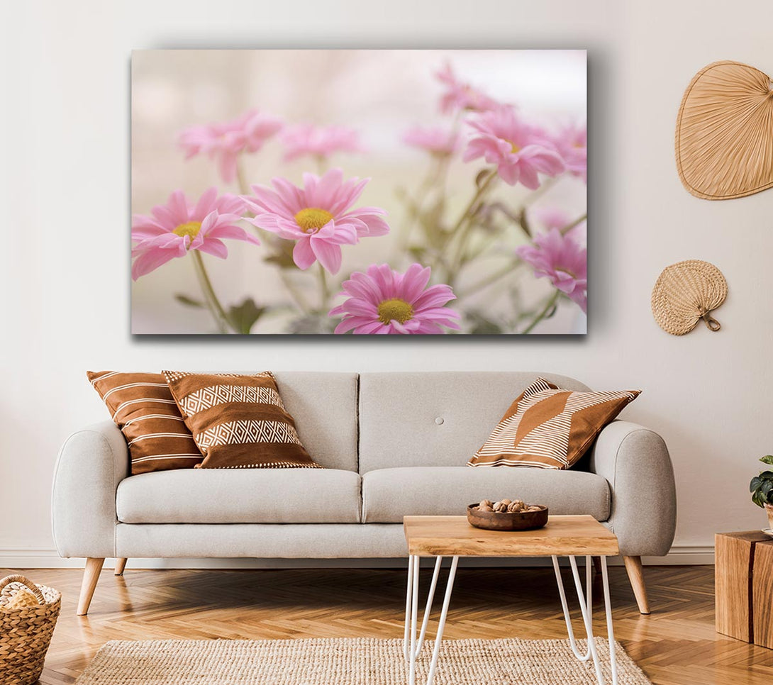 Picture of Pink flowers in soft light Canvas Print Wall Art