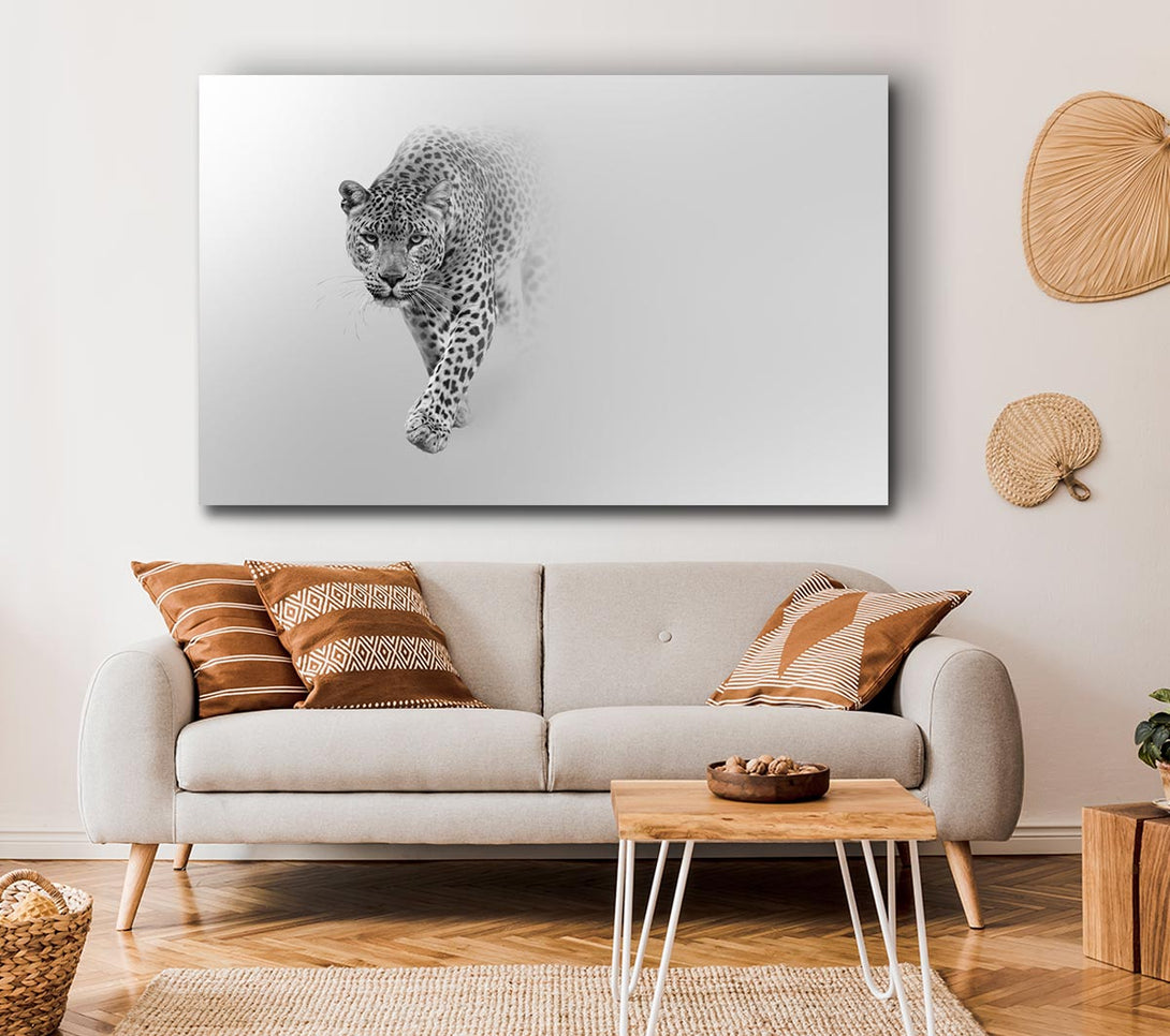  A Canvas Print of Leopard In The Mist Canvas Wall Art