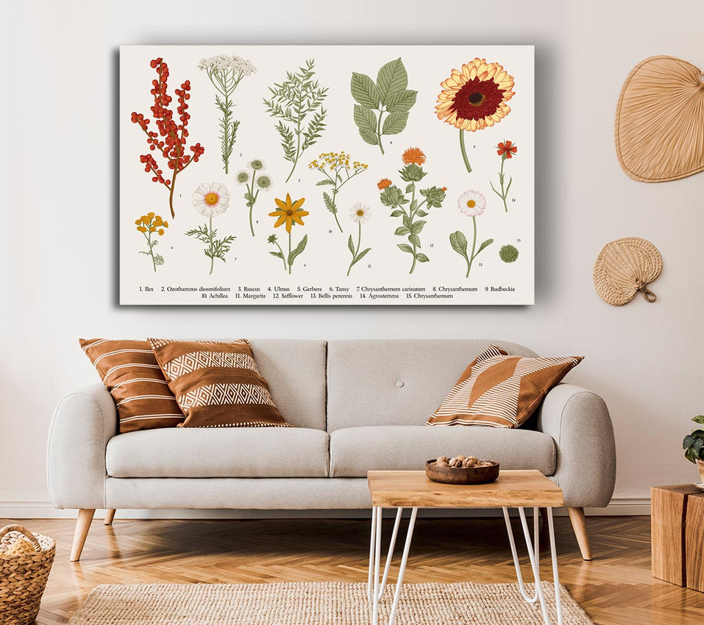 Picture of Flower Illustration Handrawn Canvas Print Wall Art