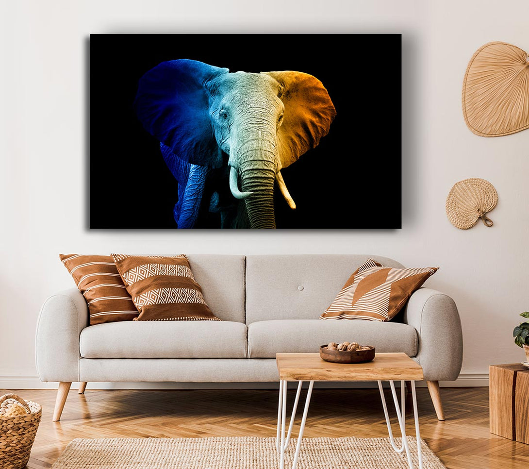 Picture of Tri Coloured Elephant Canvas Print Wall Art