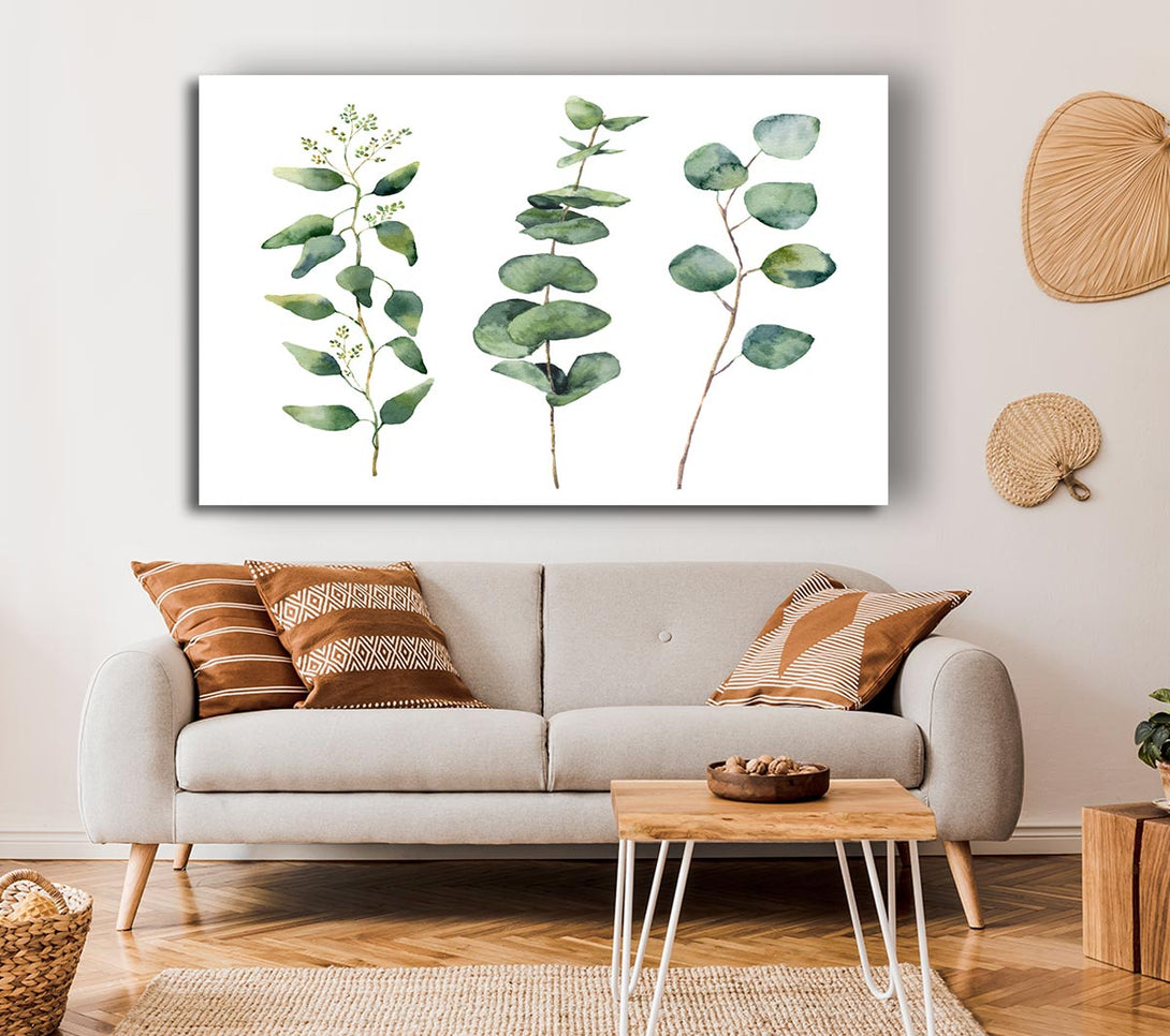 Picture of Three Green Foliage Stems Canvas Print Wall Art