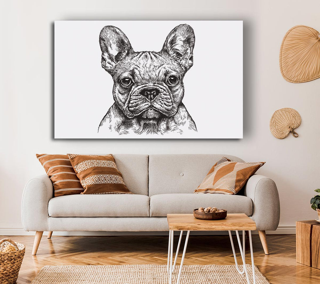  A Canvas Print of French Bulldog Sketch Canvas Wall Art