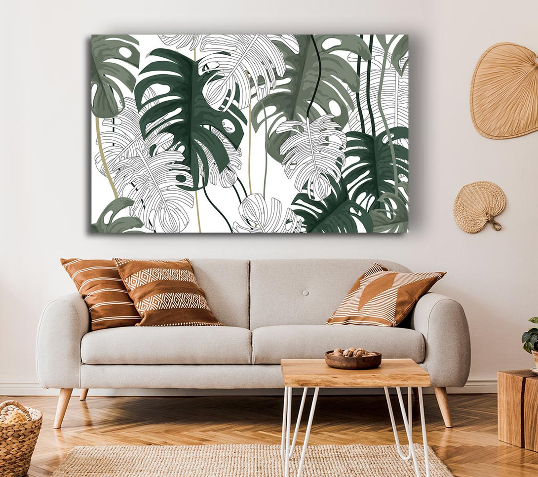 Picture of Cheese Plant Leaves Canvas Print Wall Art