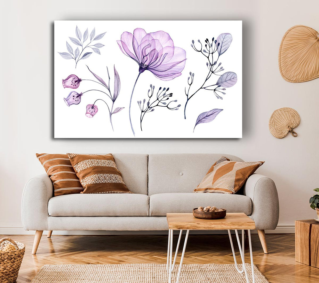 Picture of Small Lilac Crocus Illustration Canvas Print Wall Art