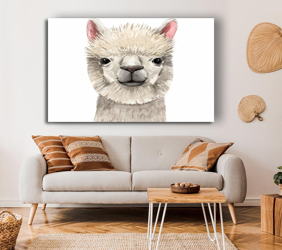  A Canvas Print of Llama Drama Canvas Print