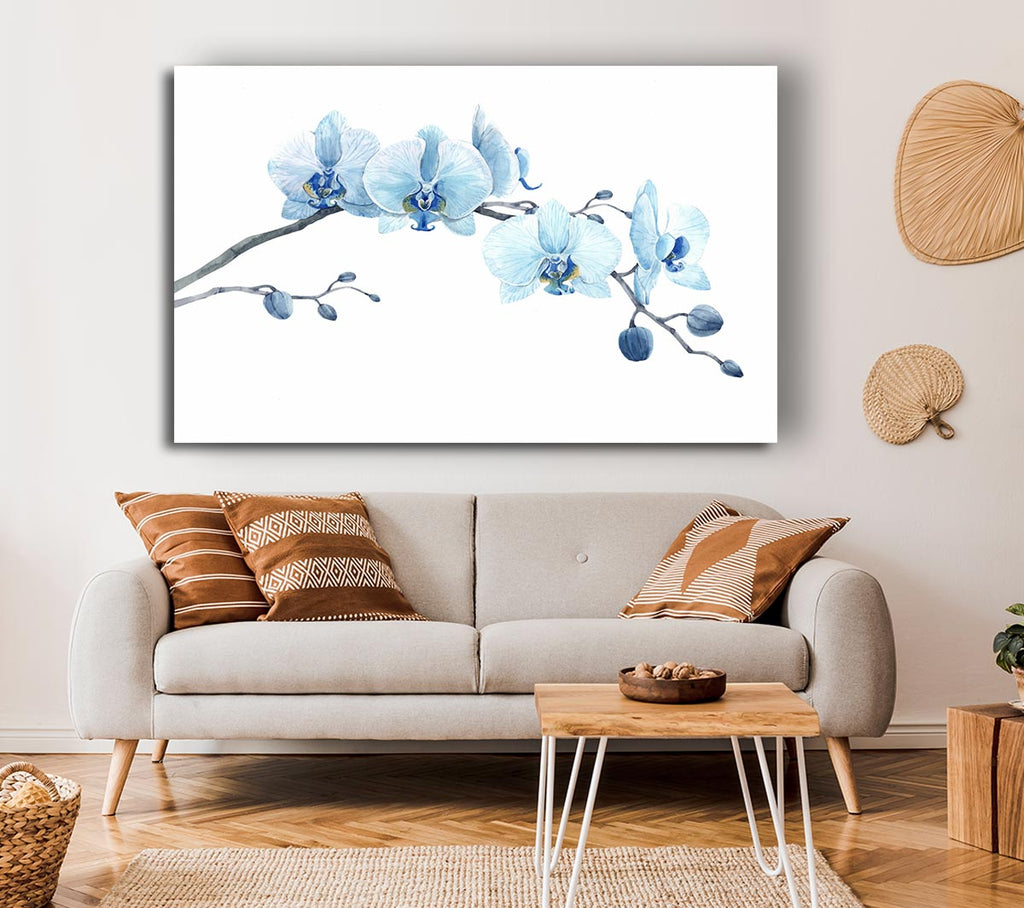 Picture of The Blue Orchid Curve Canvas Print Wall Art