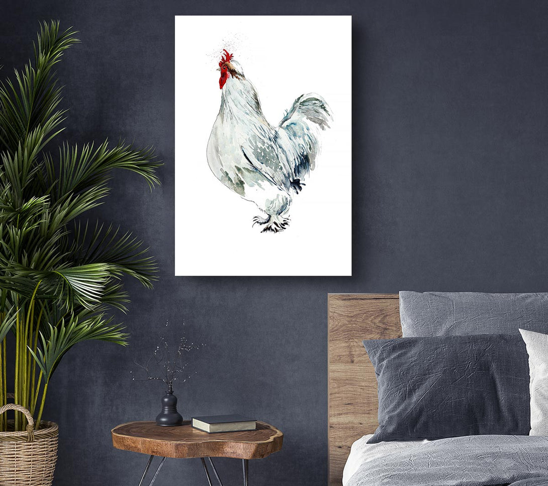 Picture of White Hen Canvas Print Wall Art