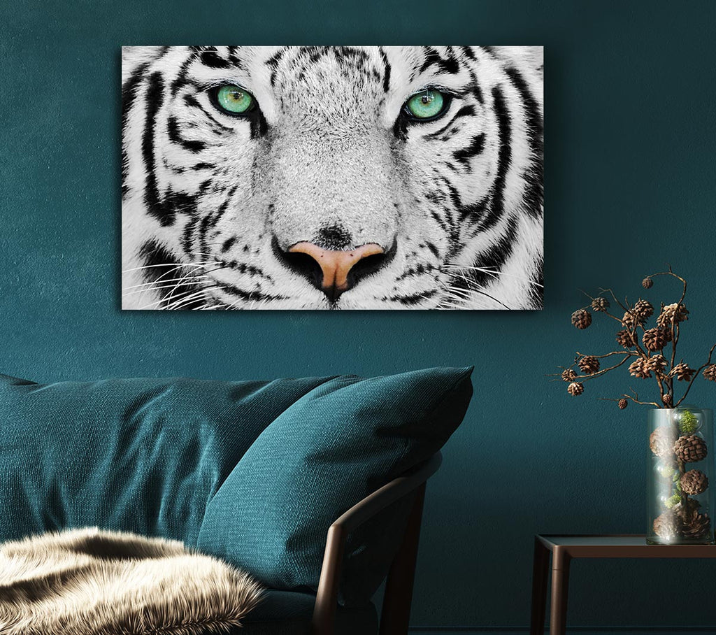 Picture of Green Eyed White Tiger Canvas Print Wall Art