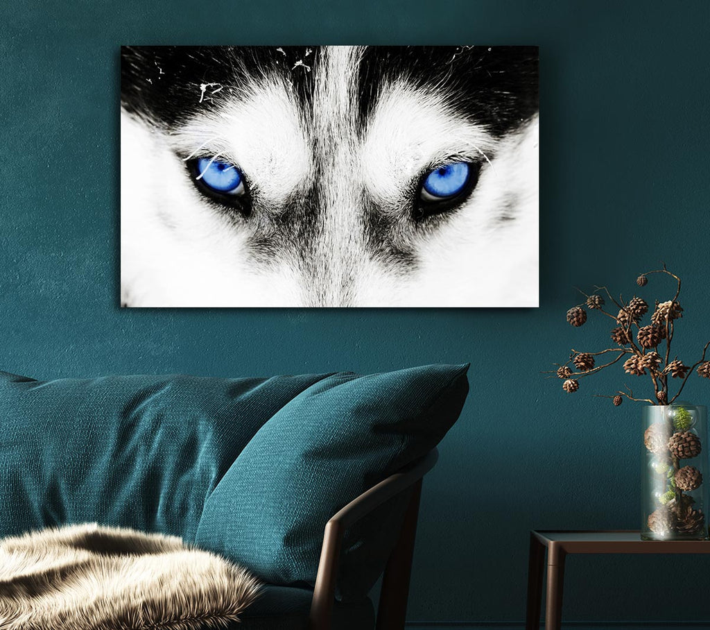 Picture of Husky Dog Blues Canvas Print Wall Art