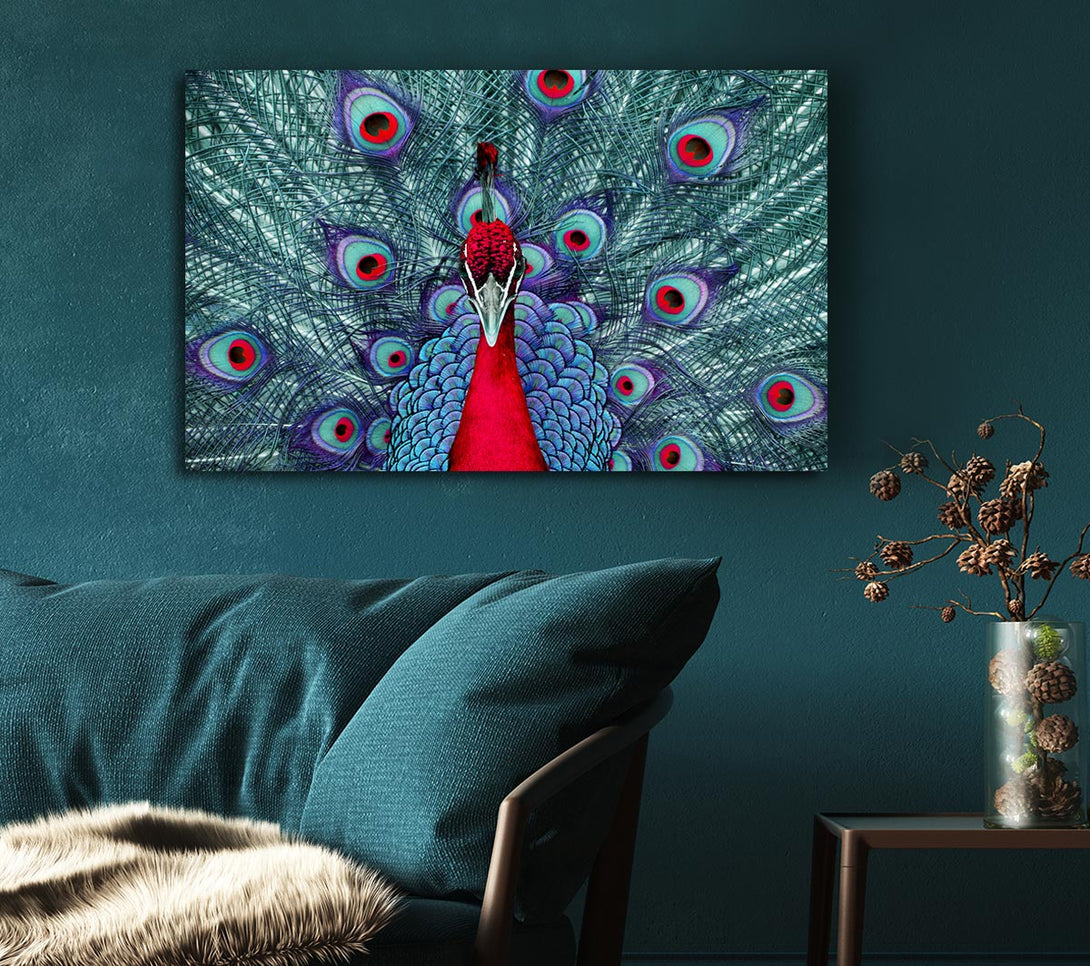  A Canvas Print of Peacock Beauty Canvas Wall Art