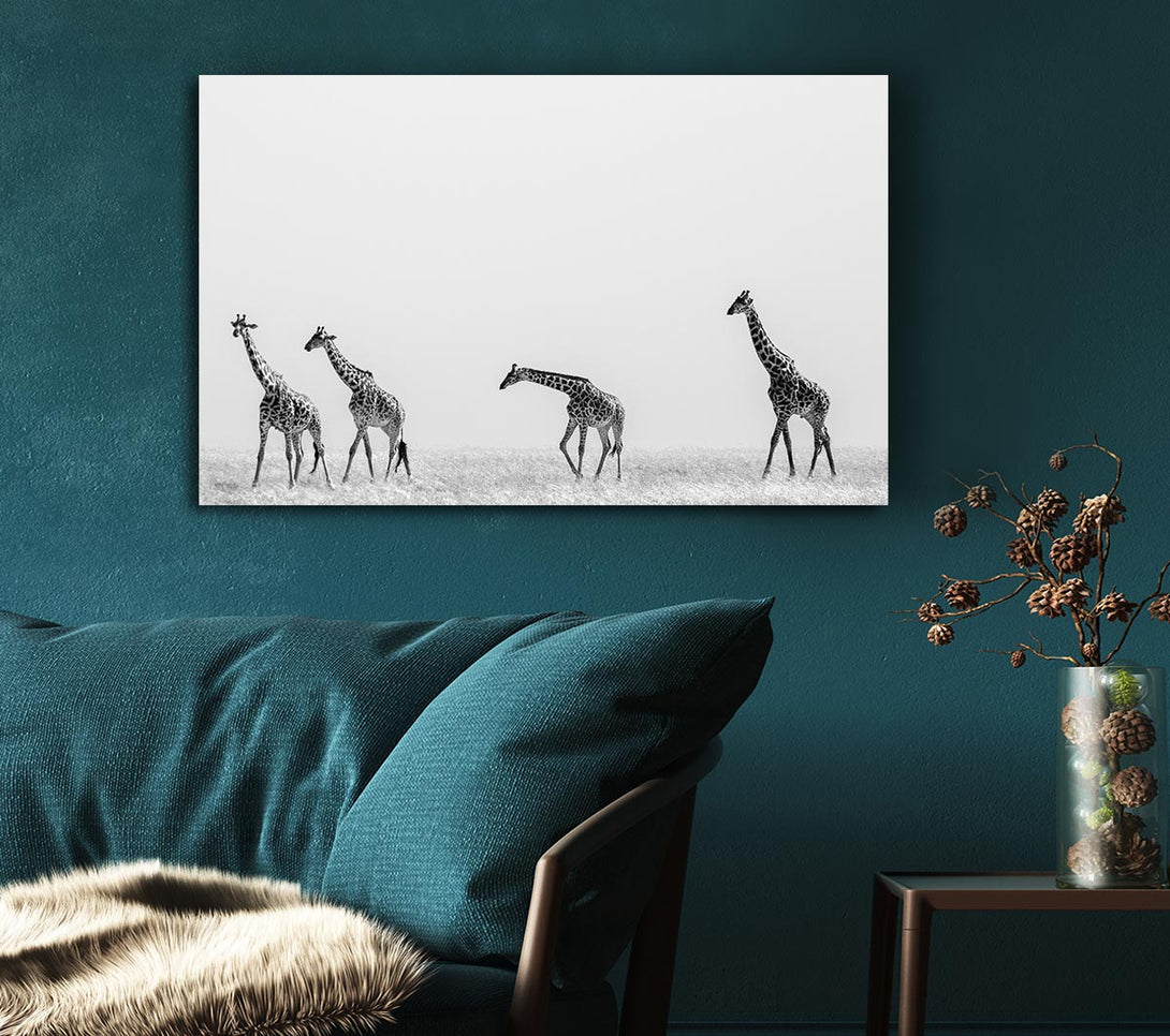  A Canvas Print of Giraffe Safari LineUp Canvas Wall Art