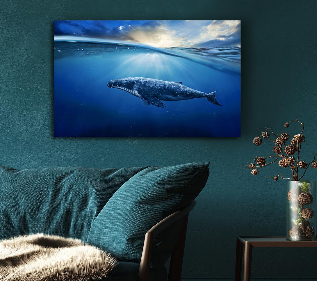  A Canvas Print of Ocean Whale Canvas Print