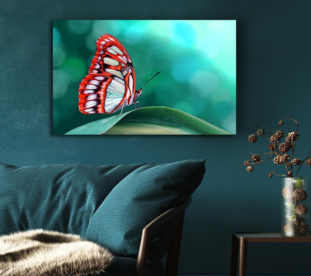  A Canvas Print of Butterfly Wings 1 Canvas Wall Art
