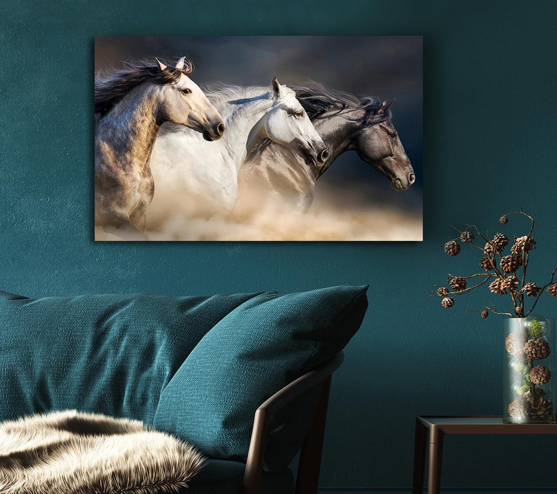 Picture of Wild Horse Trio Canvas Print Wall Art