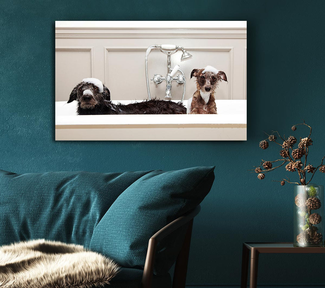  A Canvas Print of Bath Time Dogs Canvas Art
