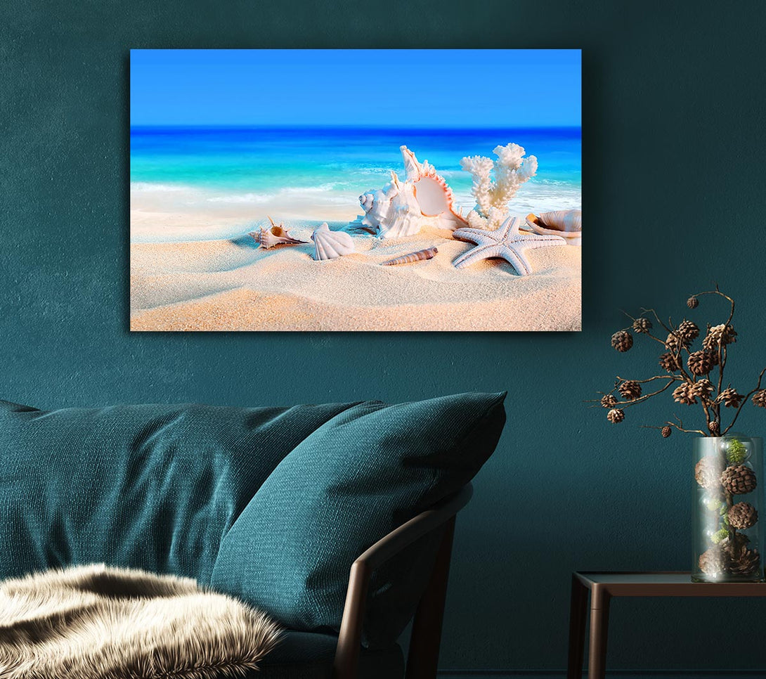  A Canvas Print of Perfect Ocean Shells Canvas Print