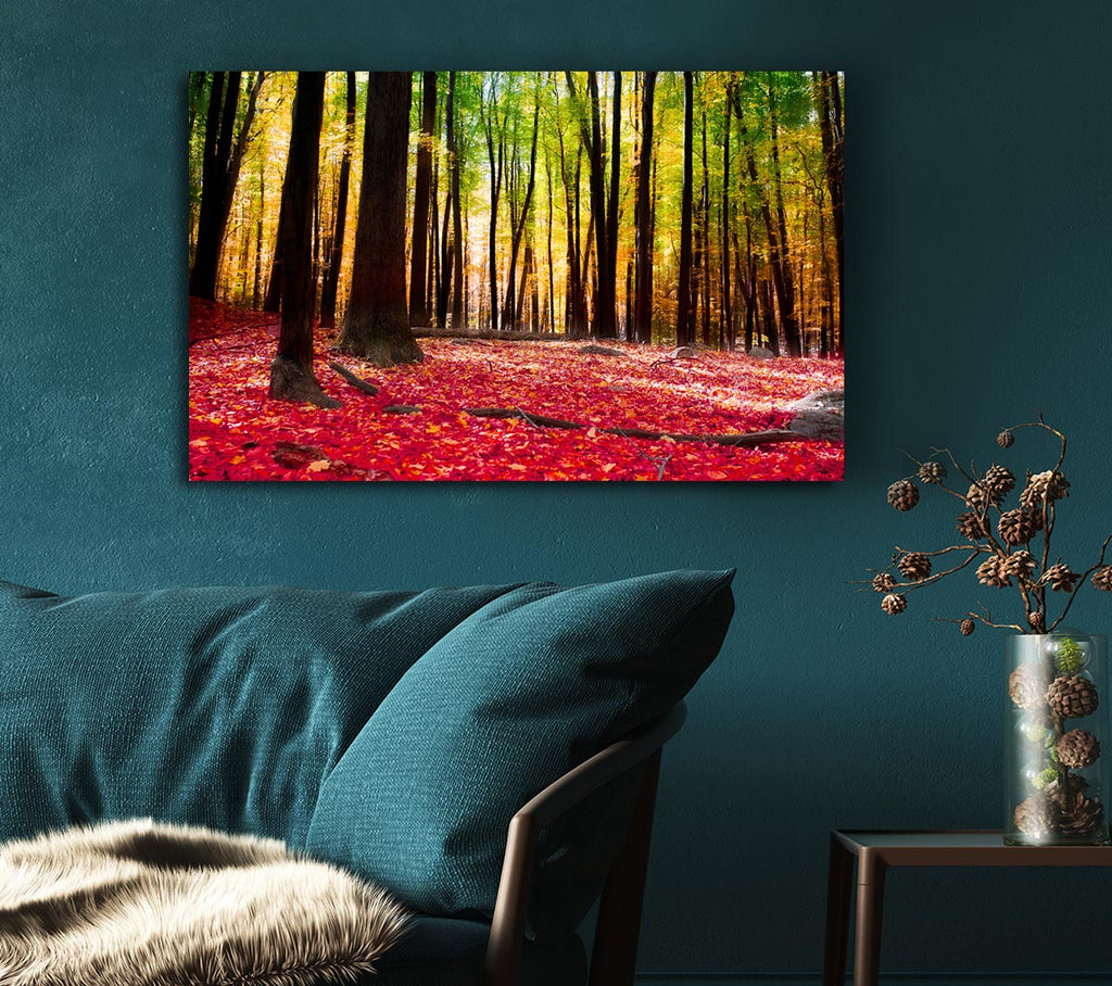 Picture of Autumn Leaves Canvas Print Wall Art