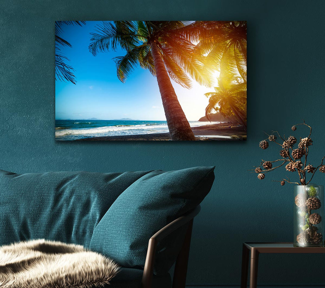  A Canvas Print of Palm tree close up on beach Canvas Wall Art