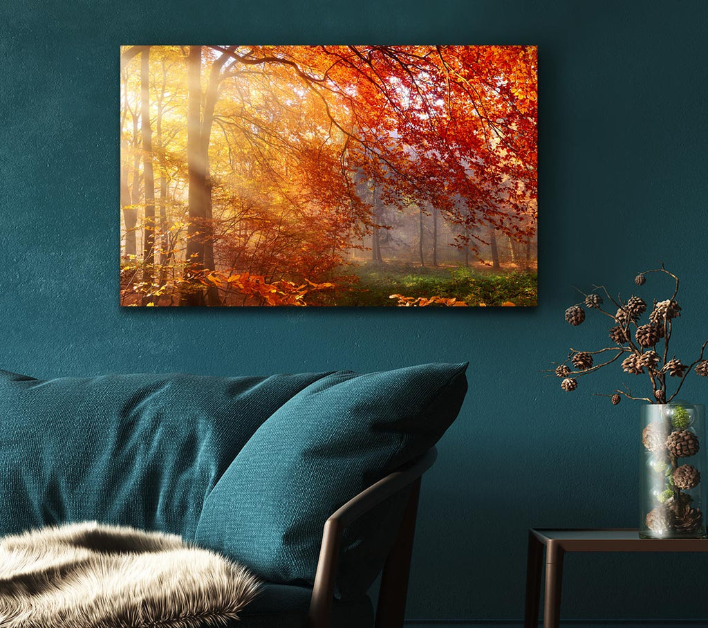 Picture of Autumn forest sunrays Canvas Print Wall Art