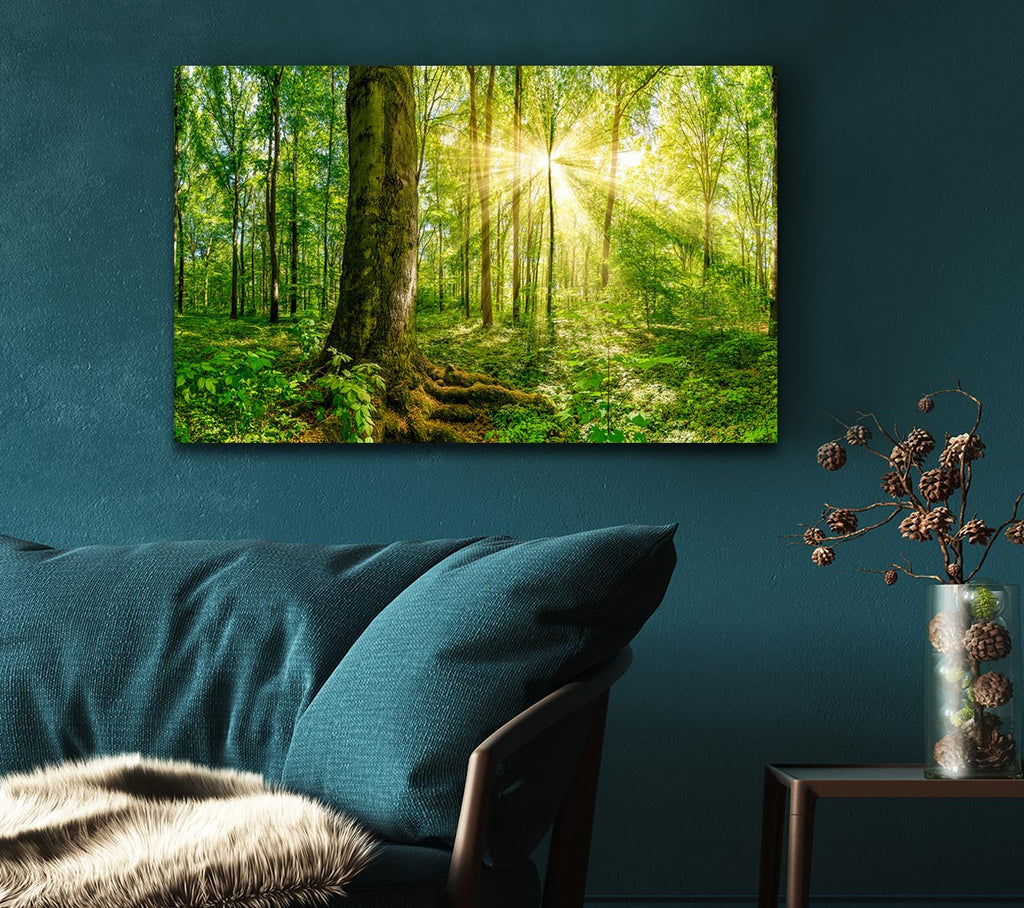 Picture of Bright light flare in the forest Canvas Print Wall Art