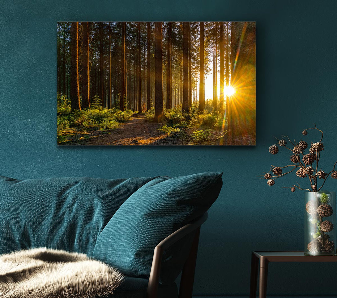 Picture of Sunrays forest spectrum Canvas Print Wall Art