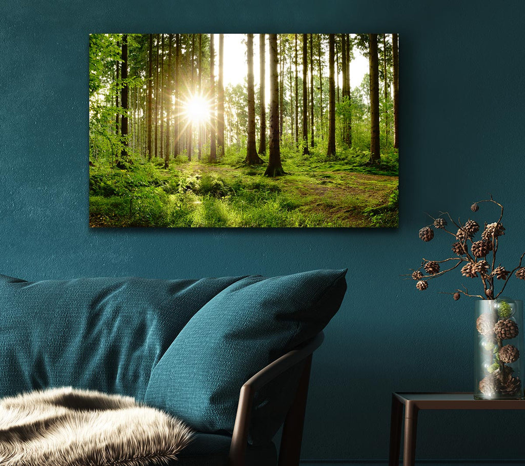 Picture of Sunshine in the green woodlands Canvas Print Wall Art