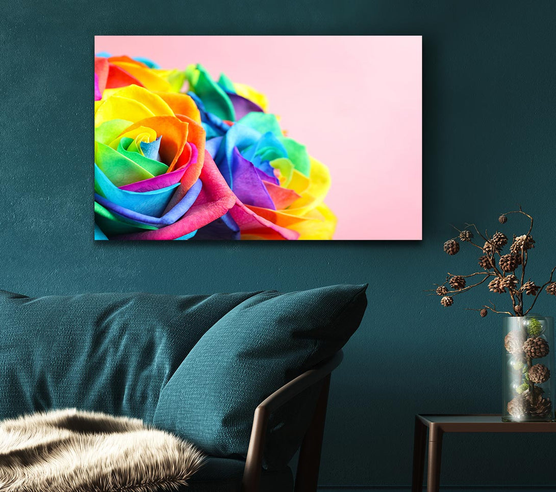 A Canvas Print of Rainbow closeup rose Canvas Wall Art