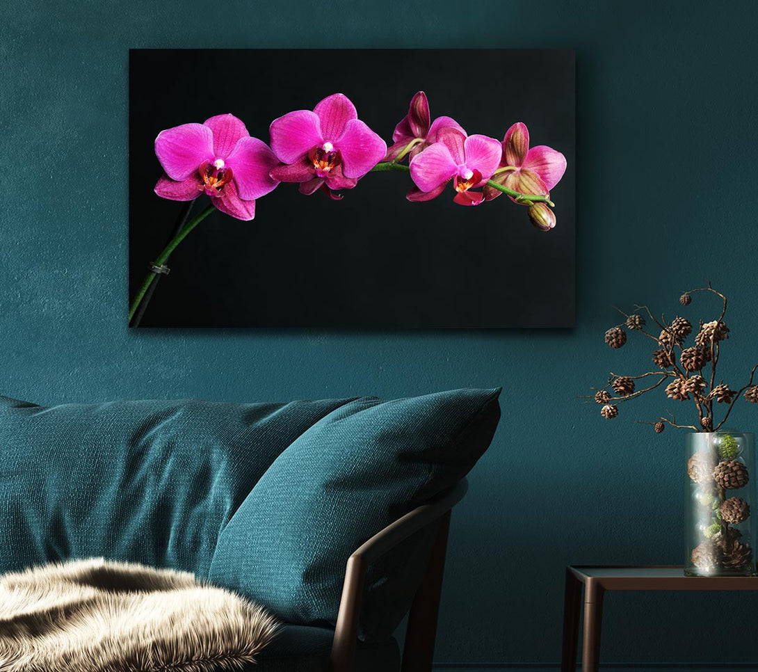  A Canvas Print of Pink Orchids Curve Canvas Wall Art