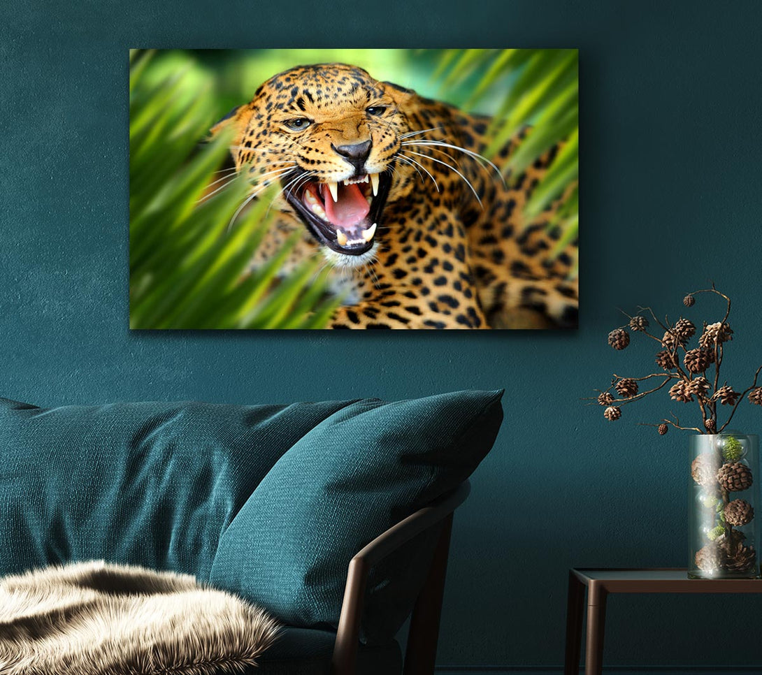 Picture of Fierce leopard in the grass Canvas Print Wall Art