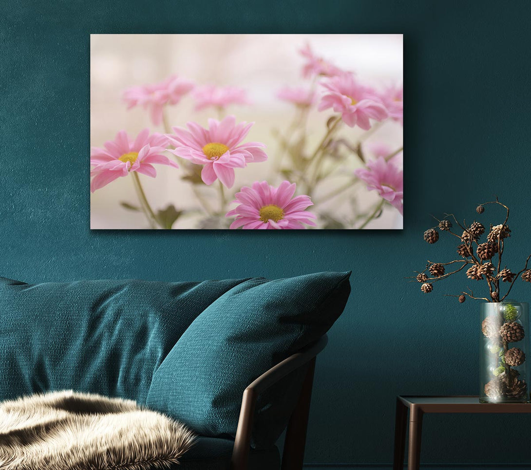 Picture of Pink flowers in soft light Canvas Print Wall Art