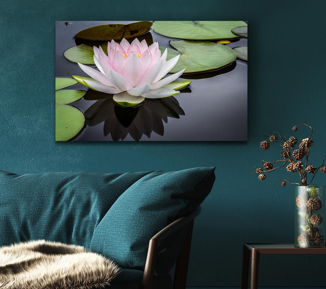 Picture of Pond plant floating on the lake Canvas Print Wall Art