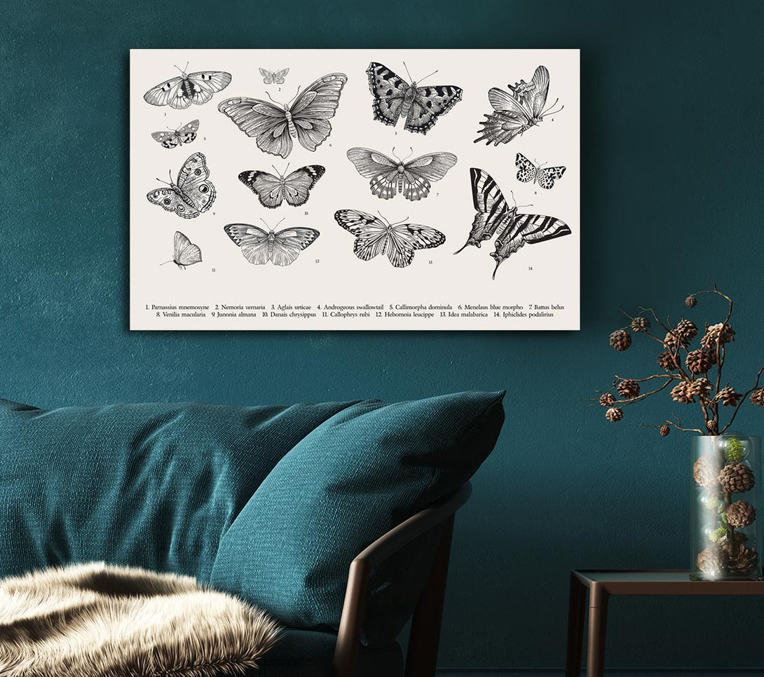 Picture of British Butterflies Canvas Print Wall Art