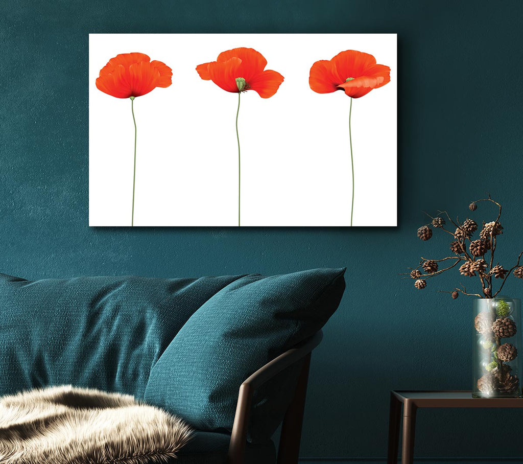 Picture of Three Poppies Standing Canvas Print Wall Art