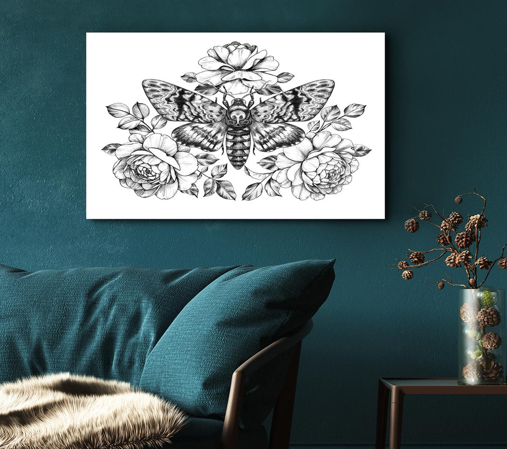 Picture of Death Head Moth Canvas Print Wall Art