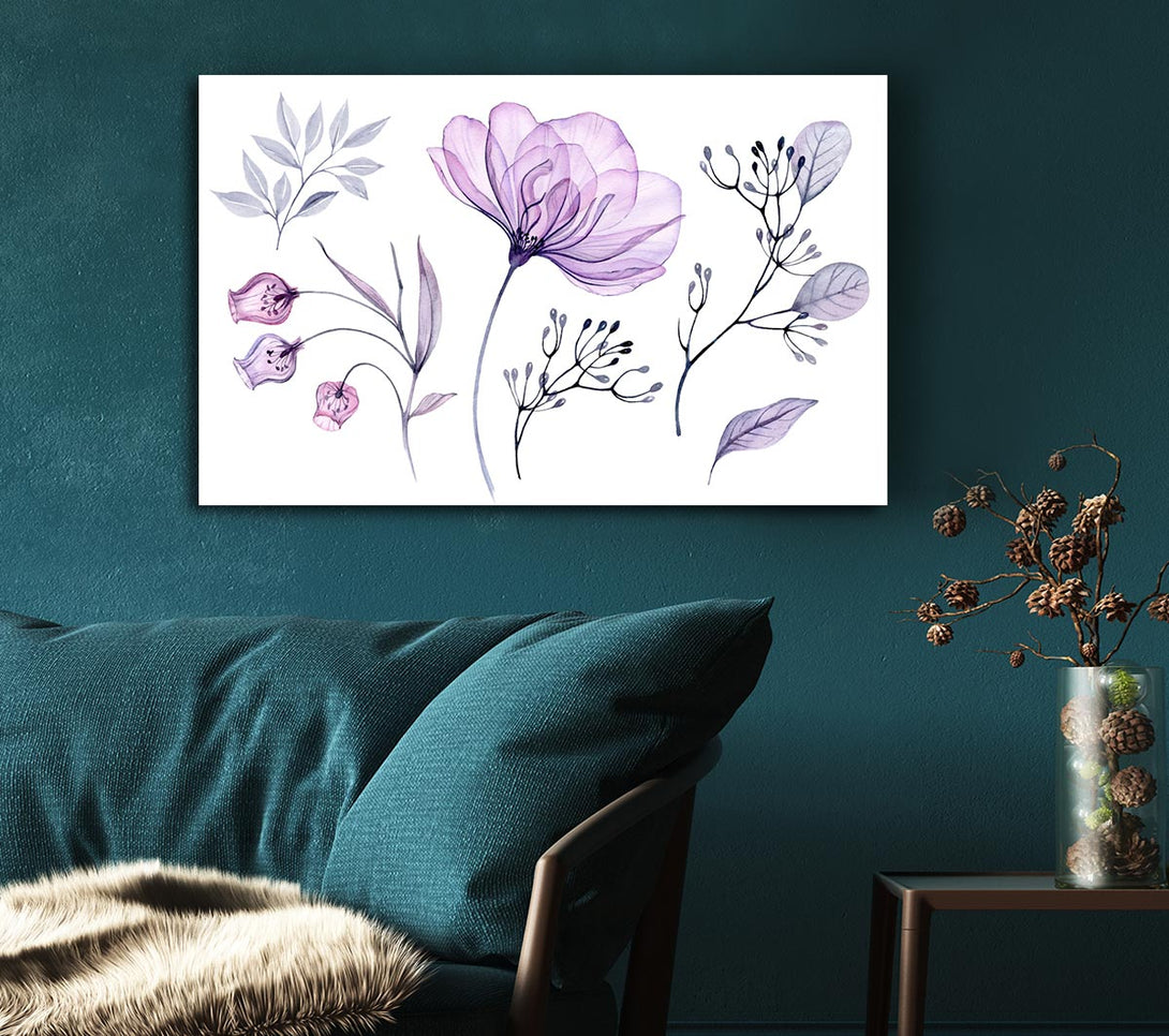 Picture of Small Lilac Crocus Illustration Canvas Print Wall Art