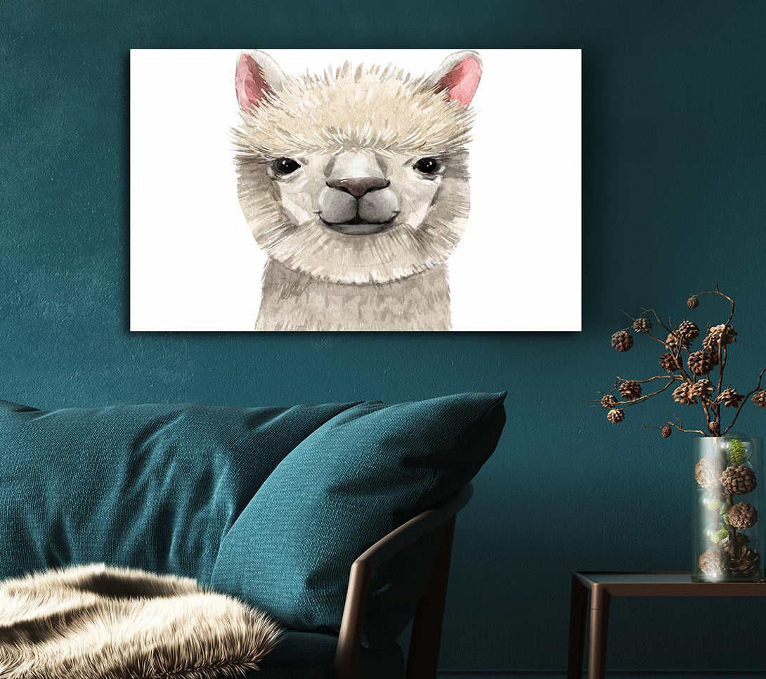  A Canvas Print of Llama Drama Canvas Print